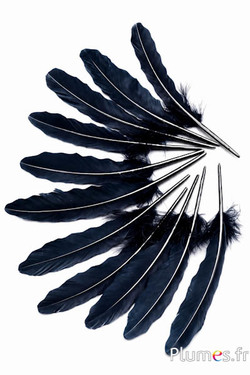 Oie motif vague - 15-21 cm - noir